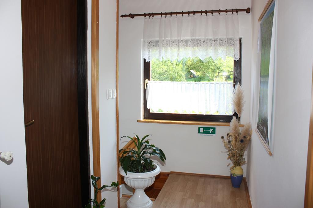 Apartment Jelena Seliste Dreznicko Quarto foto